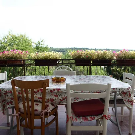 Belvedere Apartment